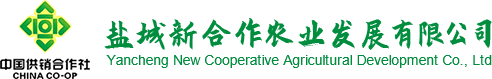 鹽城銘遠(yuǎn)拋丸設(shè)備有限公司